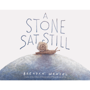 A Stone Sat Still