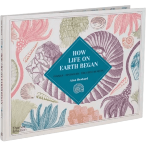 How Life on Earth Began