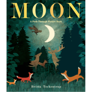 Moon
