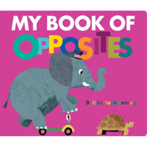 My Book of Opposites