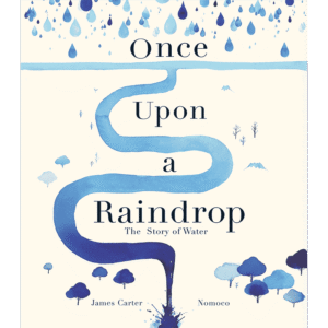 Once Upon a Raindrop