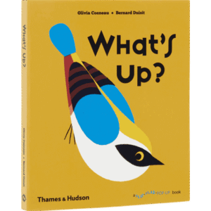 What's Up? A Flip Flap Pop-Up Book